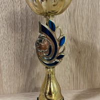 Открытые страницы