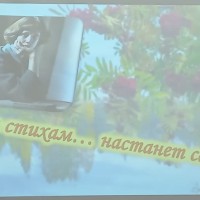 Моим стихам…настанет свой черед