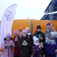 «Новогоднее гуляние»