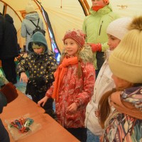 Новогодние гуляния на озере Долгое