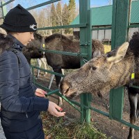 «Открытые страницы. Ярославль»