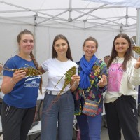 Творческий вклад в сохранение экологии окружающей среды