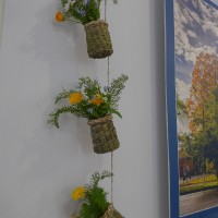 Творческий вклад в сохранение экологии окружающей среды