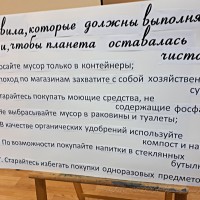 Чем я могу помочь своей планете