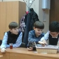 Экологический проект 