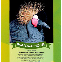 достижения