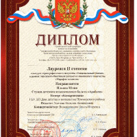 достижения