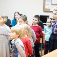 Птичья столовая