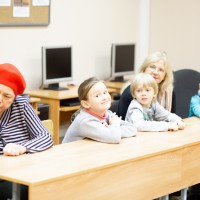 Птичья столовая
