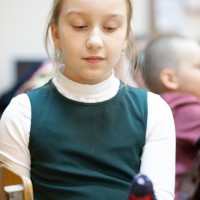 Птичья столовая