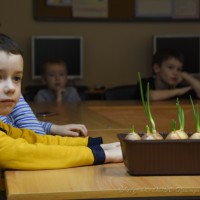 Зелёный подоконник