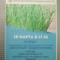 Зелёный подоконник