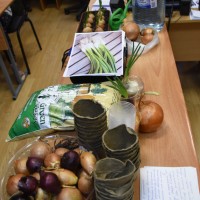 Зелёный подоконник