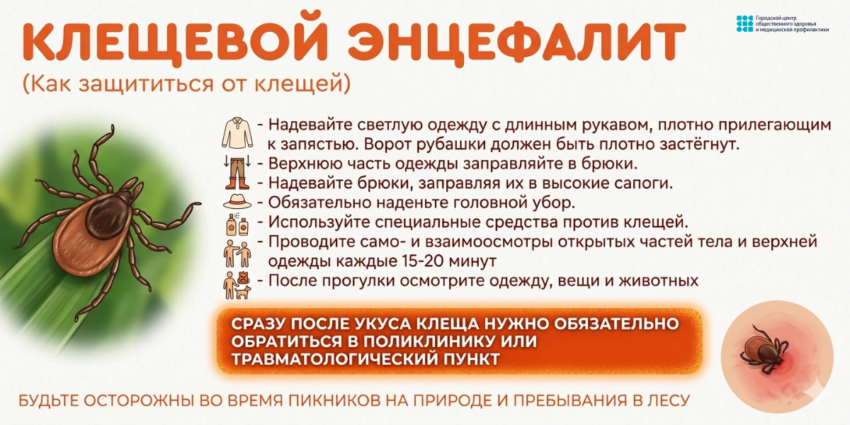 клещи_1.png